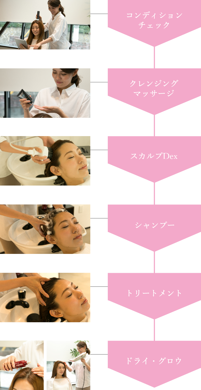 ベーシックサポートプログラム