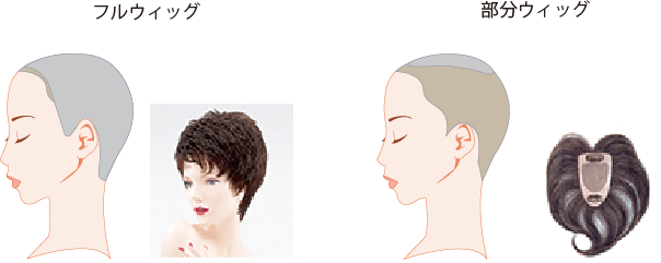 かつら ウィッグ エクステの違いは何 目的に合わせた選び方 女性用かつら ウィッグのフォンテーヌ 公式